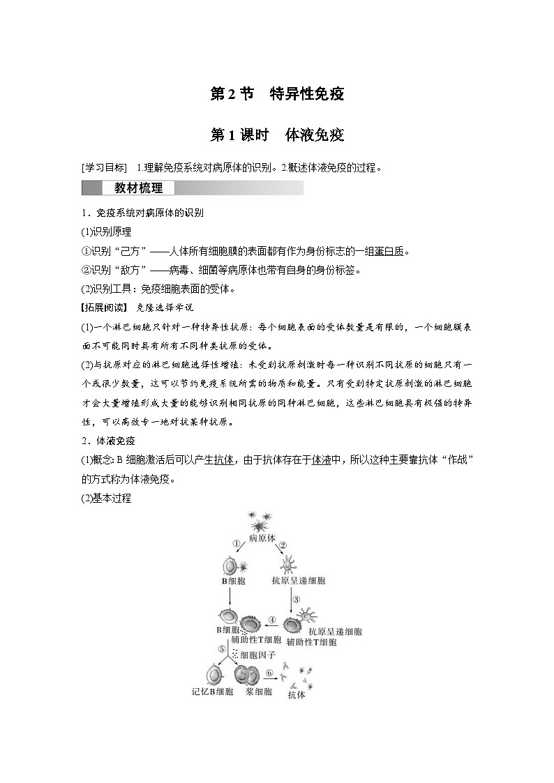 2024年高中生物新教材同步学案 选择性必修第一册 第4章 第2节 第1课时　体液免疫（含解析）第1页