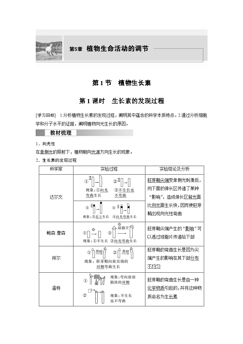 2024年高中生物新教材同步学案 选择性必修第一册 第5章 第1节 第1课时　生长素的发现过程（含解析）01