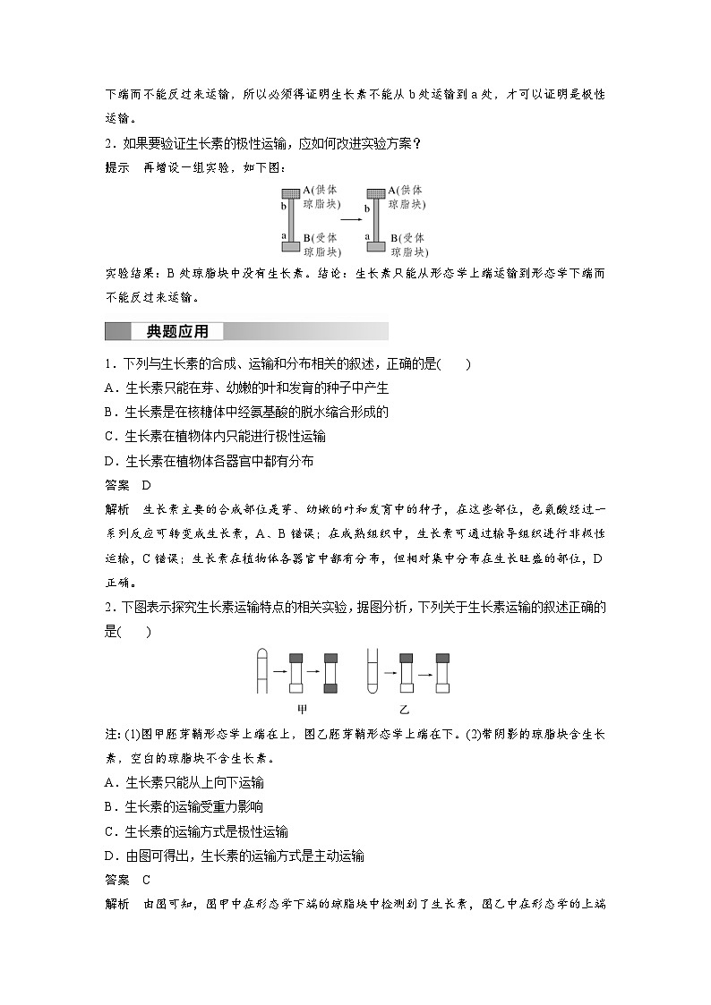 2024年高中生物新教材同步学案 选择性必修第一册 第5章 第1节 第2课时　生长素的合成、运输、分布和生理作用（含解析）02