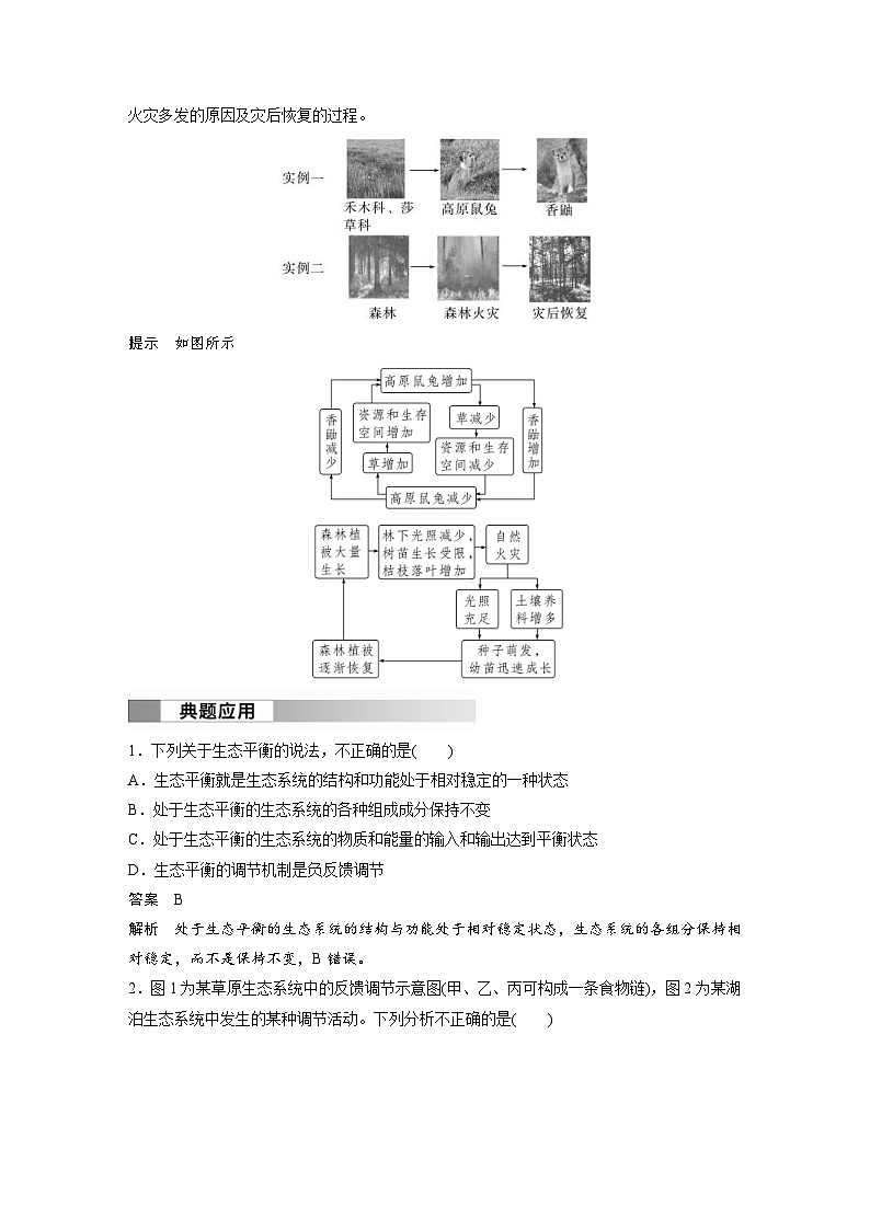 2024年高中生物新教材同步学案 选择性必修第二册 第3章 第5节　生态系统的稳定性（含解析）02