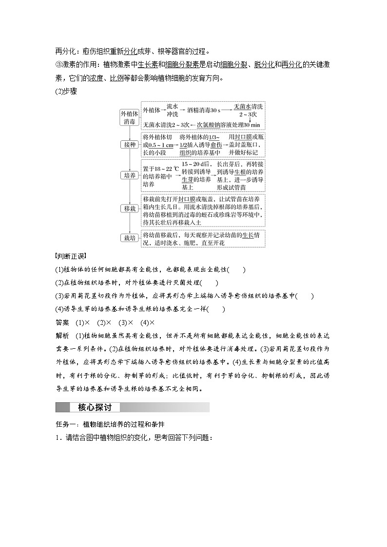 2024年高中生物新教材同步学案 选择性必修第三册 第2章 第1节 第1课时 植物细胞工程的基本技术（含解析）02