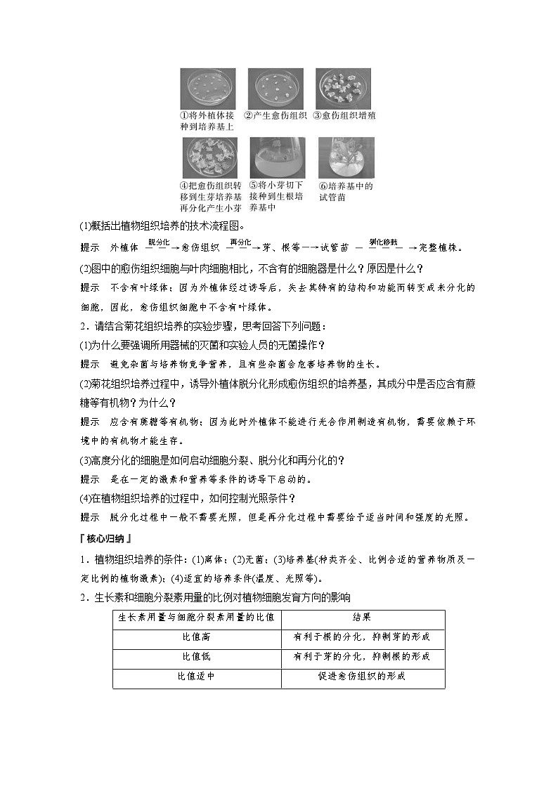 2024年高中生物新教材同步学案 选择性必修第三册 第2章 第1节 第1课时 植物细胞工程的基本技术（含解析）03