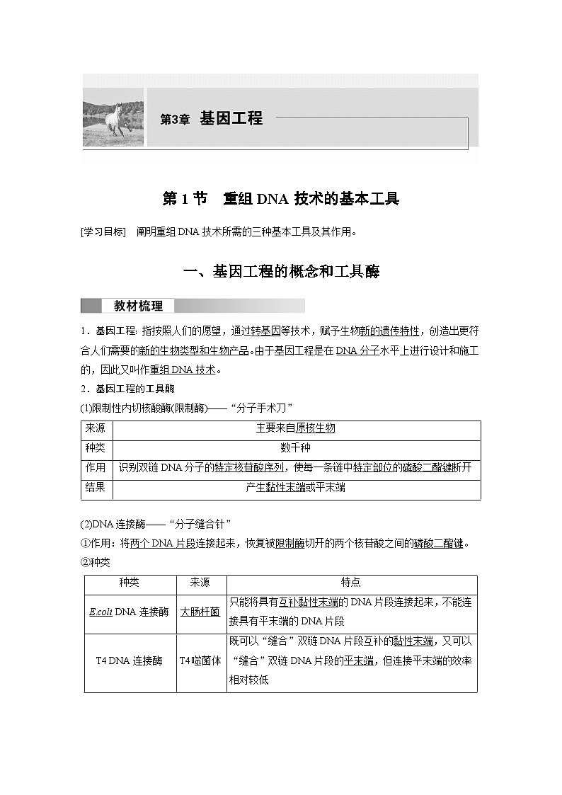 2024年高中生物新教材同步学案 选择性必修第三册 第3章 第1节 重组DNA技术的基本工具（含解析）01