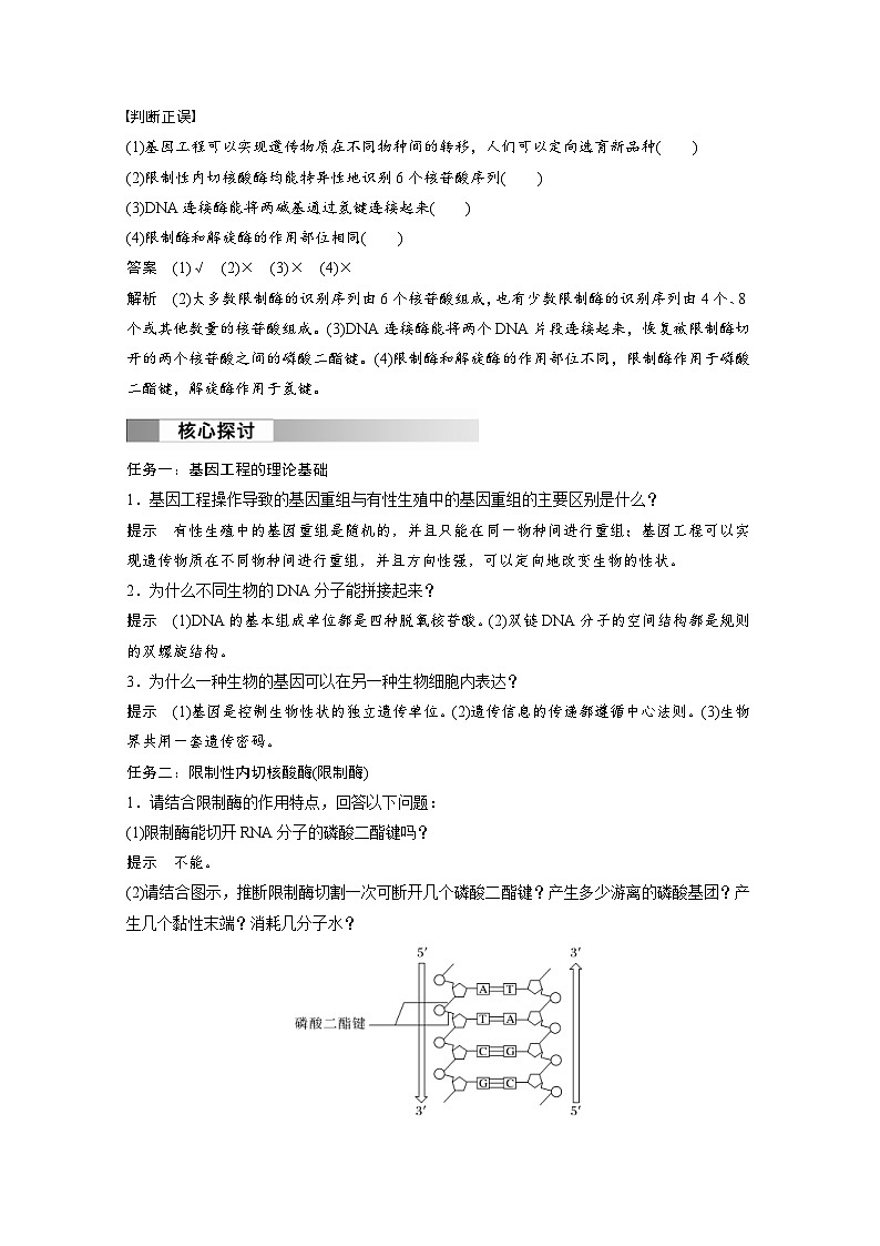 2024年高中生物新教材同步学案 选择性必修第三册 第3章 第1节 重组DNA技术的基本工具（含解析）02