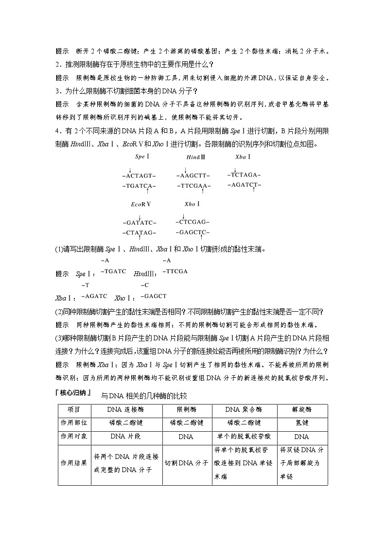 2024年高中生物新教材同步学案 选择性必修第三册 第3章 第1节 重组DNA技术的基本工具（含解析）03