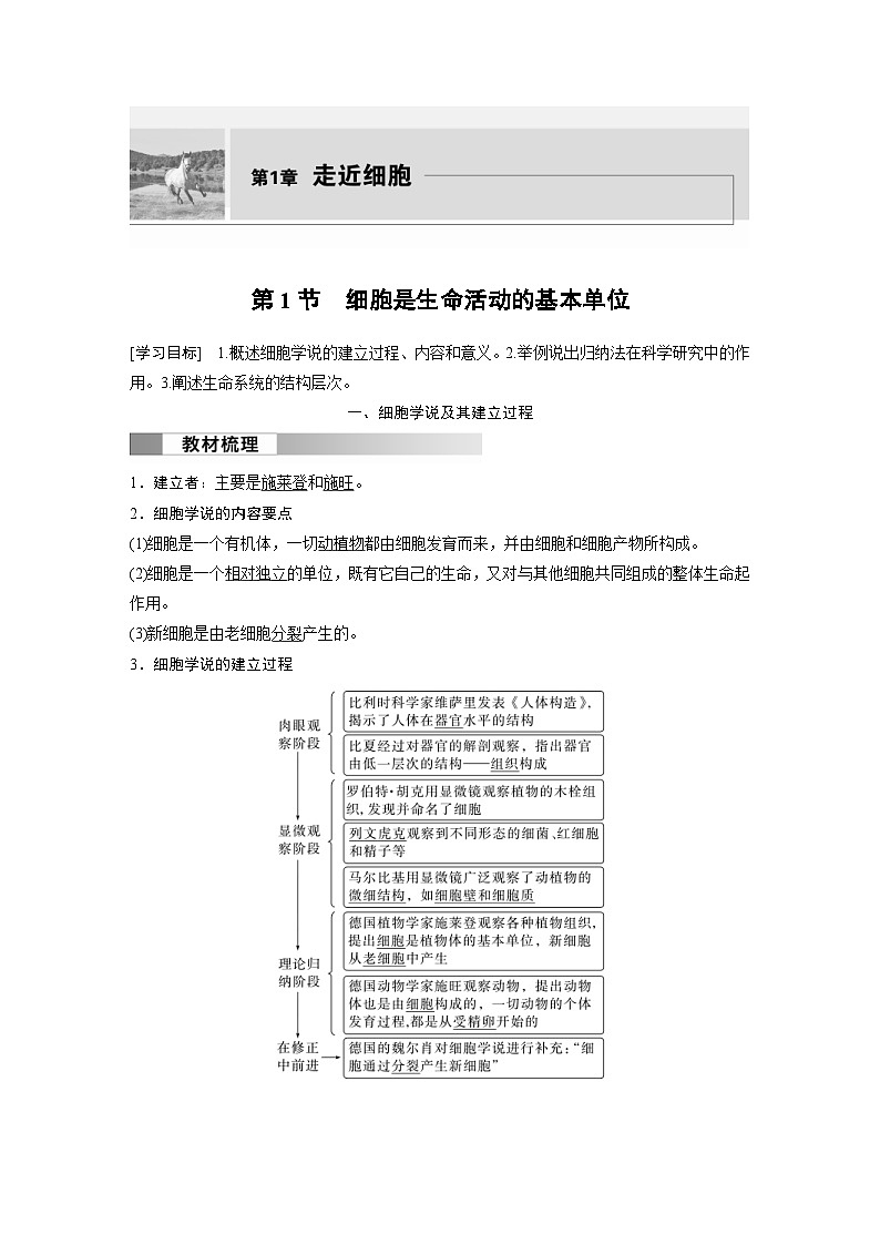 2024年高中生物新教材同步学案 必修第一册 第1章 第1节　细胞是生命活动的基本单位（含解析）01
