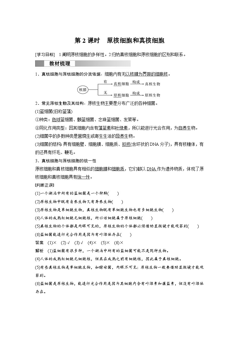 2024年高中生物新教材同步学案 必修第一册 第1章 第2节　第2课时　原核细胞和真核细胞（含解析）01