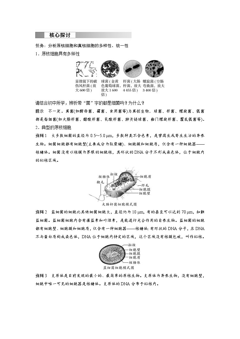 2024年高中生物新教材同步学案 必修第一册 第1章 第2节　第2课时　原核细胞和真核细胞（含解析）02