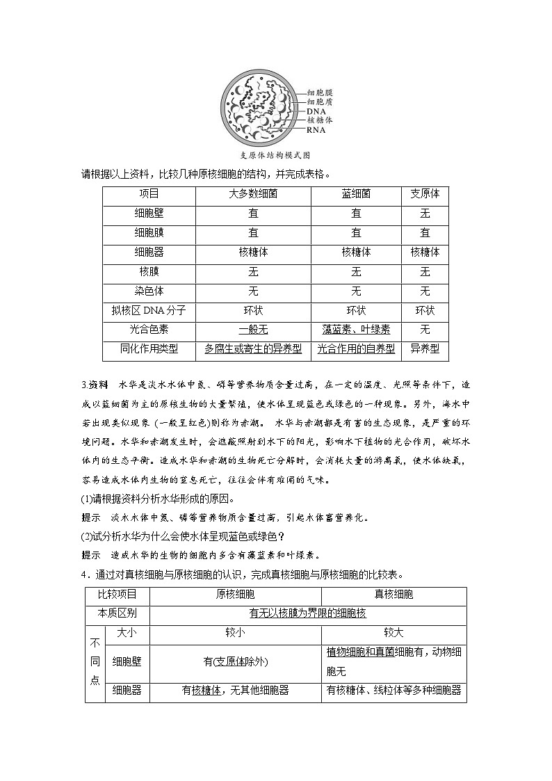 2024年高中生物新教材同步学案 必修第一册 第1章 第2节　第2课时　原核细胞和真核细胞（含解析）03