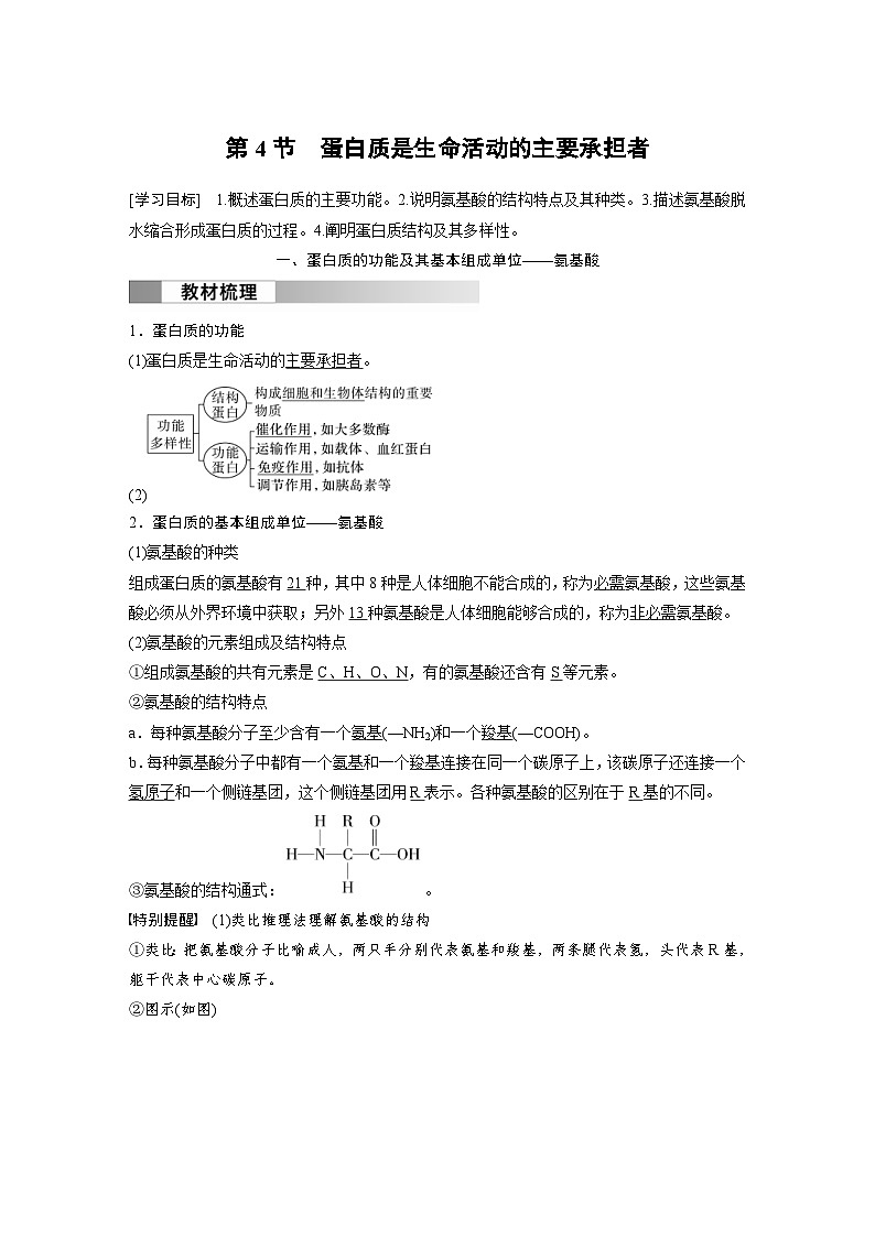 2024年高中生物新教材同步学案 必修第一册 第2章 第4节　蛋白质是生命活动的主要承担者（含解析）01