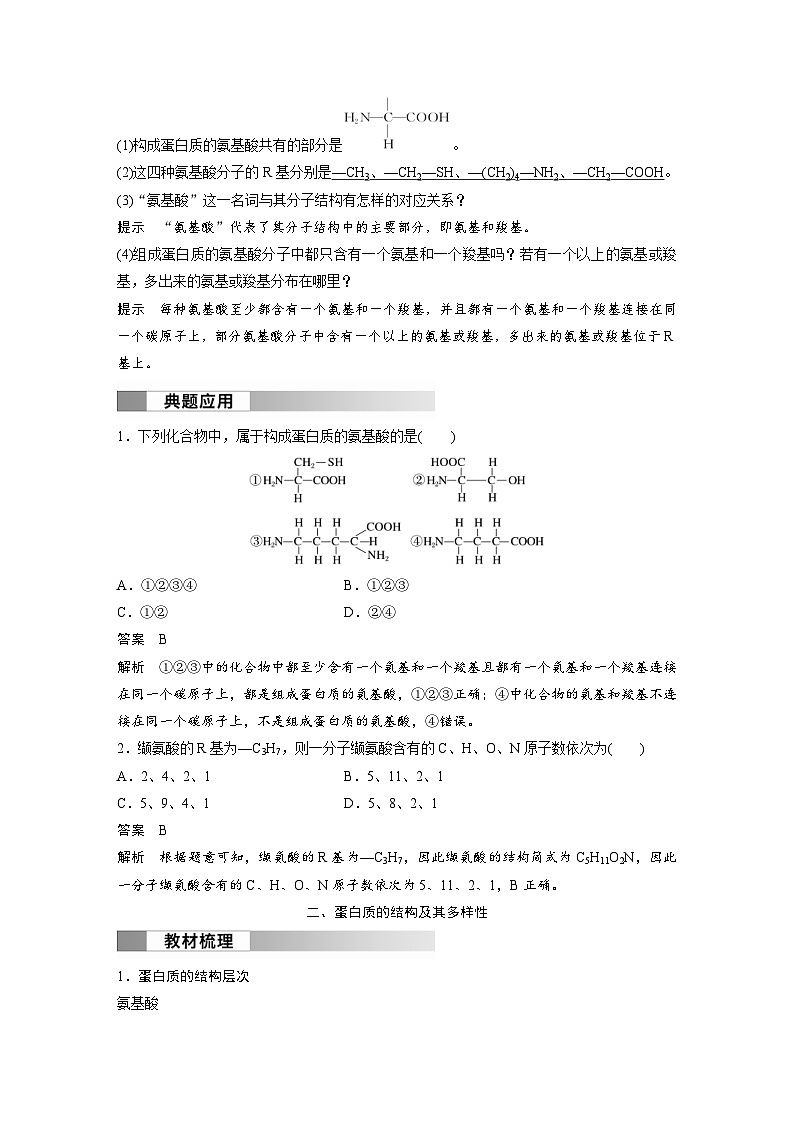 2024年高中生物新教材同步学案 必修第一册 第2章 第4节　蛋白质是生命活动的主要承担者（含解析）03