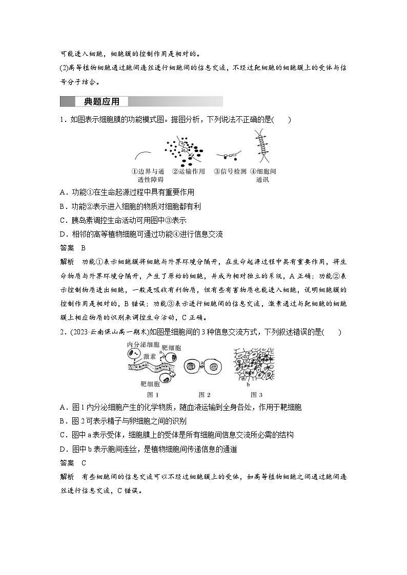 2024年高中生物新教材同步学案 必修第一册 第3章 第1节　细胞膜的结构和功能（含解析）02