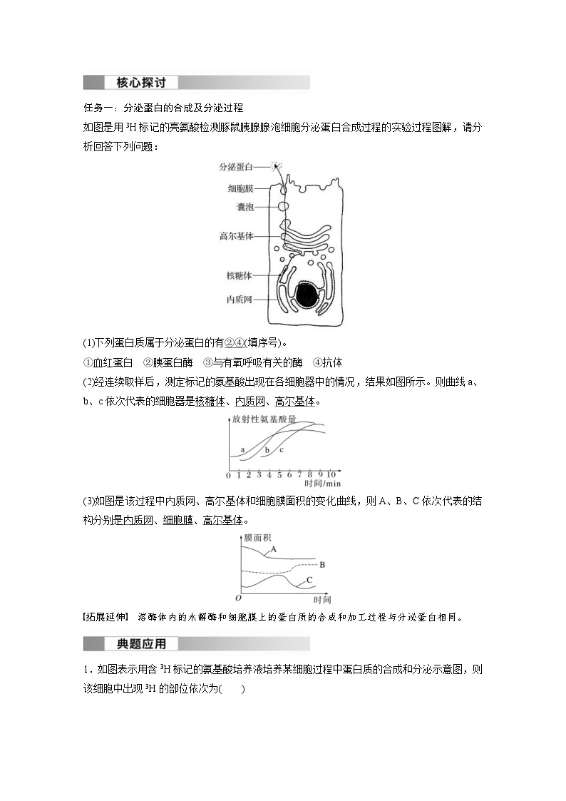 2024年高中生物新教材同步学案 必修第一册 第3章 第2节　第2课时　细胞器之间的协调配合（含解析）02