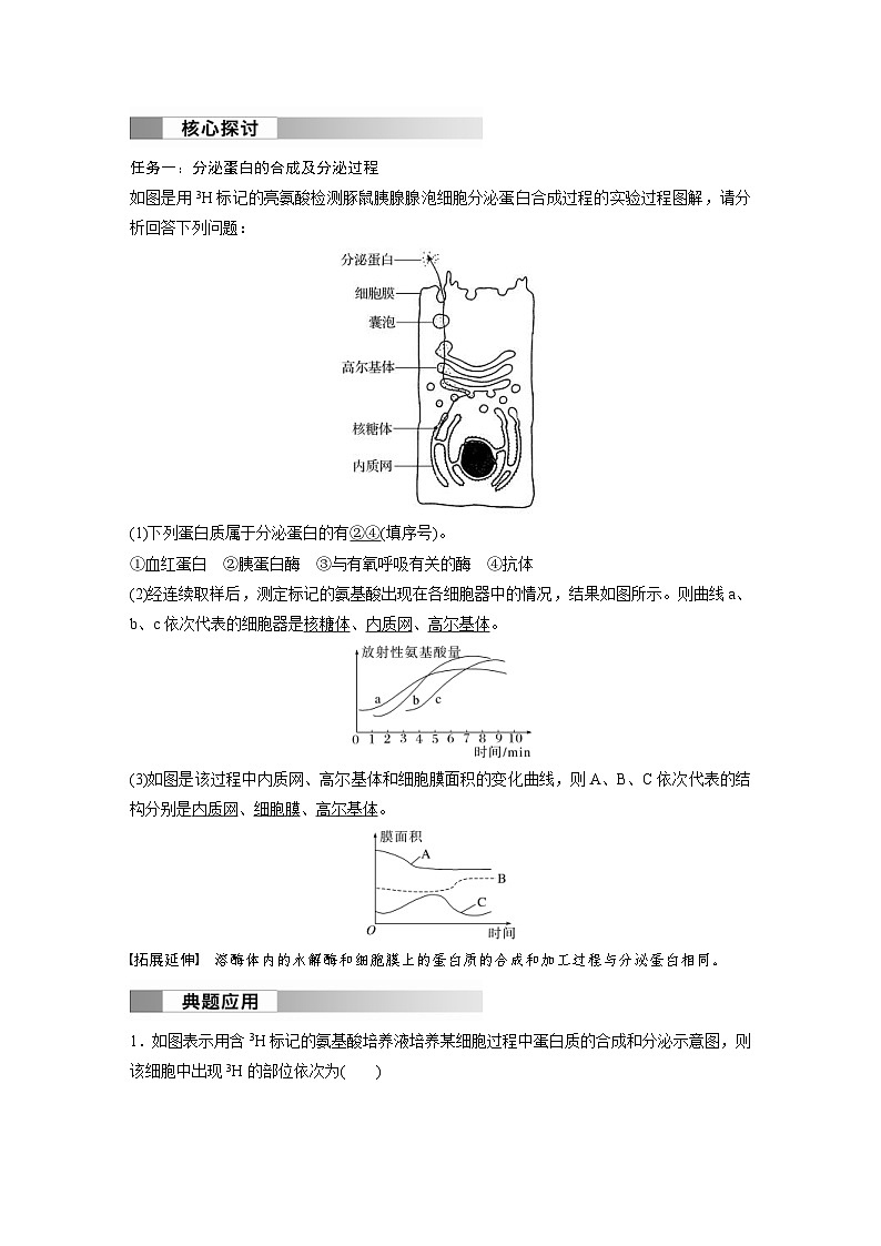 2024年高中生物新教材同步学案 必修第一册 第3章 第2节　第2课时　细胞器之间的协调配合（含解析）02
