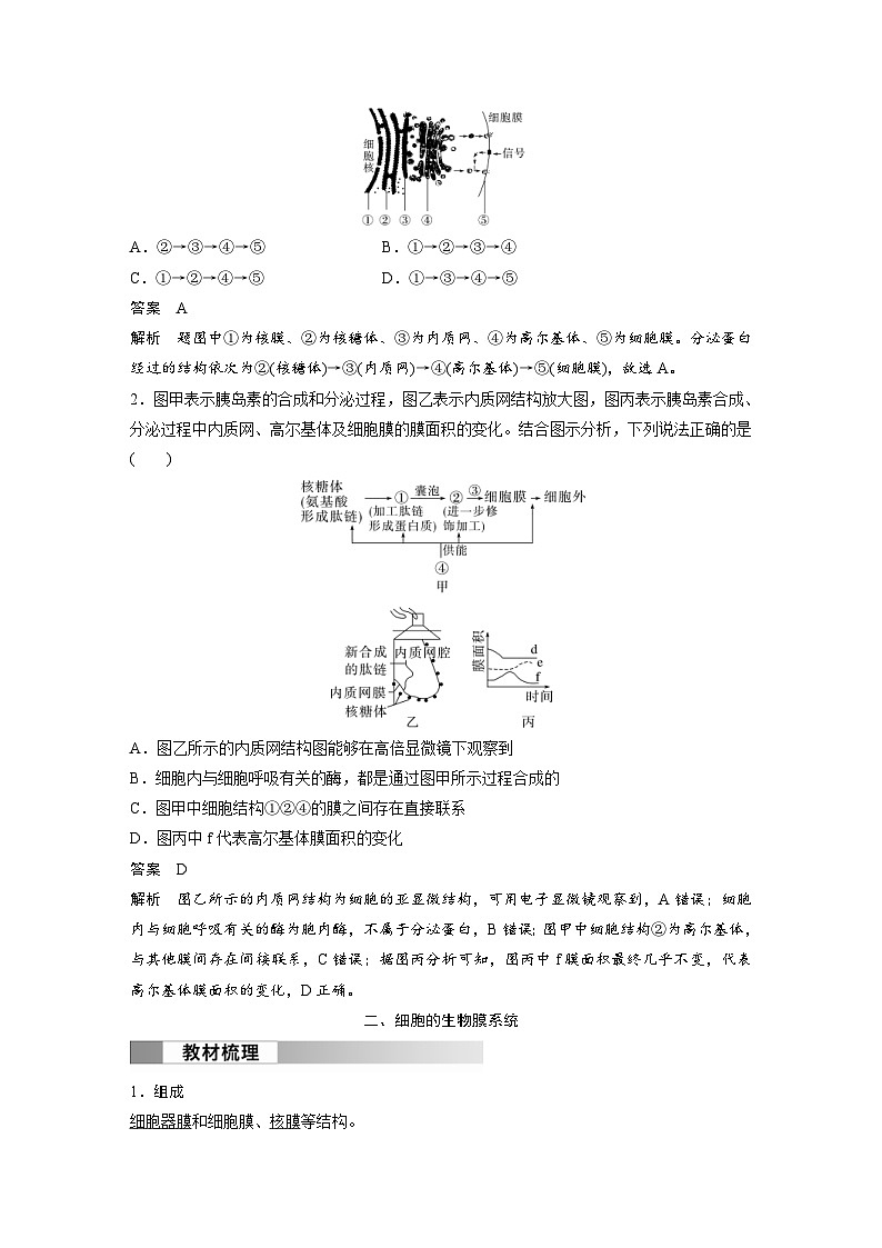 2024年高中生物新教材同步学案 必修第一册 第3章 第2节　第2课时　细胞器之间的协调配合（含解析）03