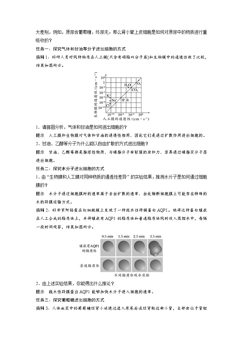 2024年高中生物新教材同步学案 必修第一册 第4章 第1节　第2课时　被动运输（含解析）02