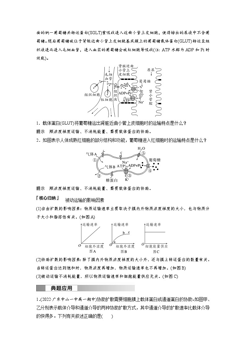 2024年高中生物新教材同步学案 必修第一册 第4章 第1节　第2课时　被动运输（含解析）03