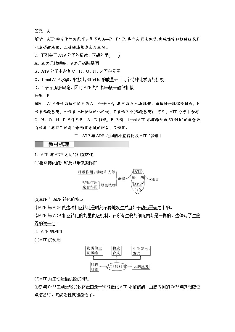 2024年高中生物新教材同步学案 必修第一册 第5章 第2节　细胞的能量“货币”ATP（含解析）03