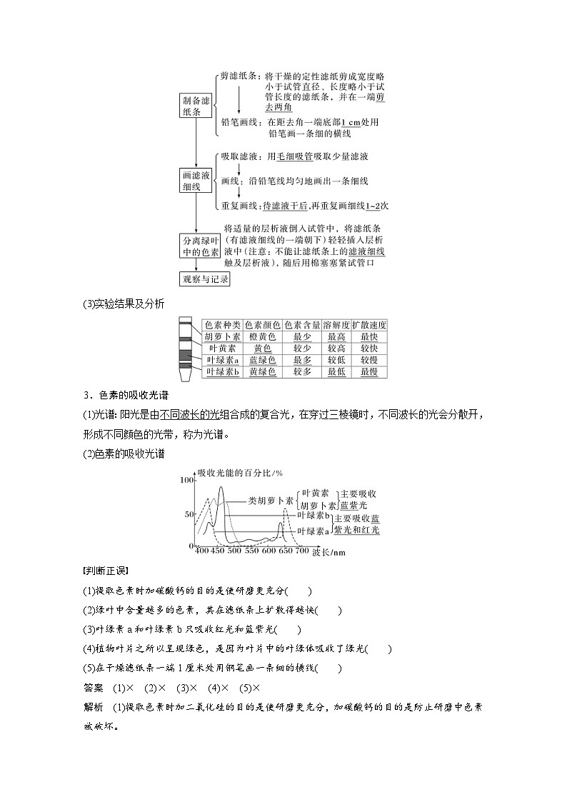 2024年高中生物新教材同步学案 必修第一册 第5章 第4节　第1课时　捕获光能的色素和结构（含解析）02