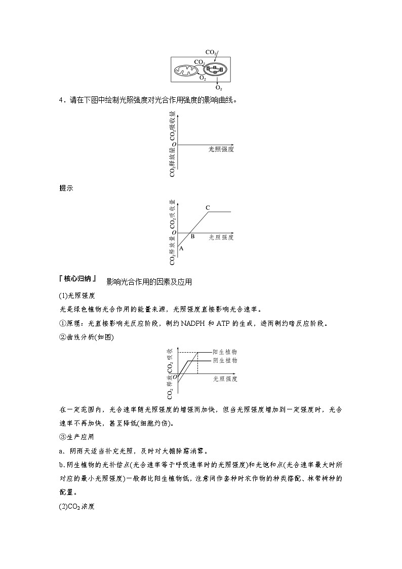 2024年高中生物新教材同步学案 必修第一册 第5章 第4节　第3课时　光合作用原理的应用（含解析）03