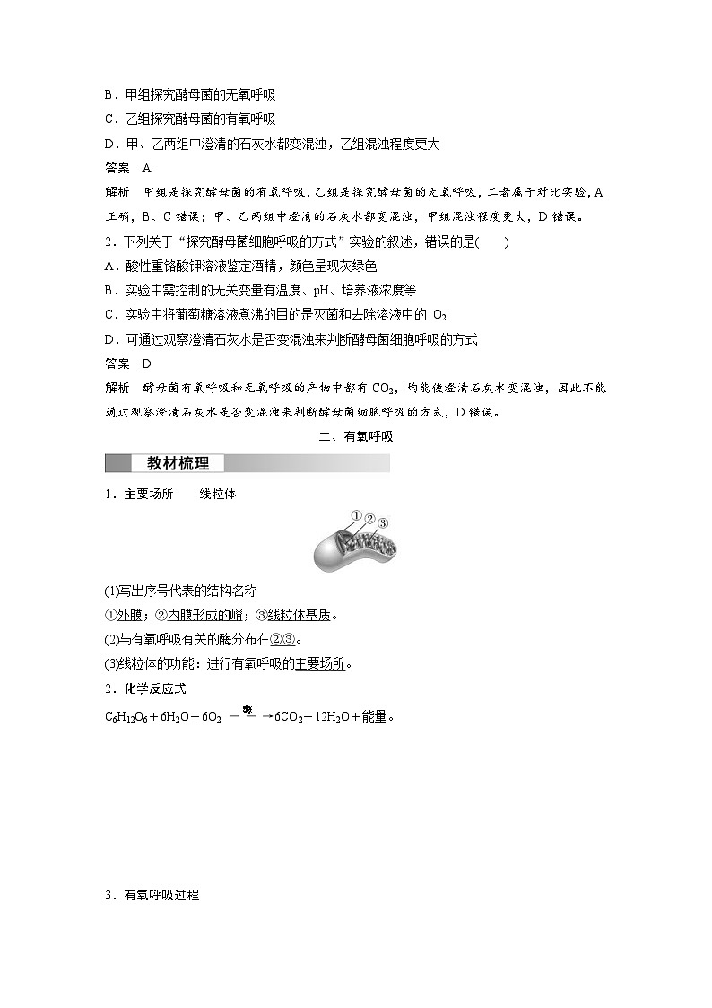 2024年高中生物新教材同步学案 必修第一册 第5章 第3节　第1课时　细胞呼吸的方式和有氧呼吸（含解析）03