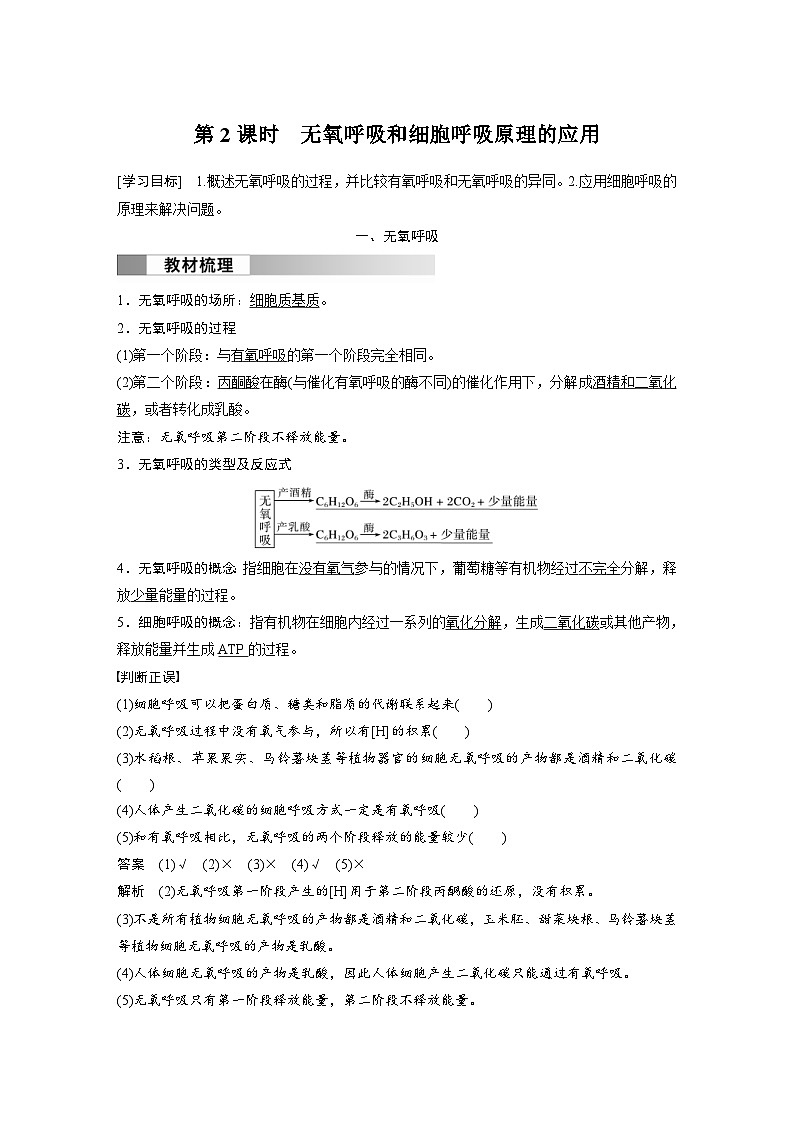 2024年高中生物新教材同步学案 必修第一册 第5章 第3节　第2课时　无氧呼吸和细胞呼吸原理的应用（含解析）01