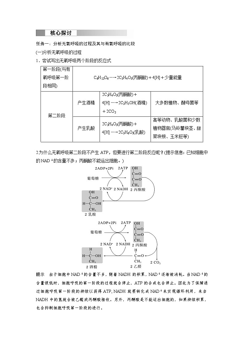 2024年高中生物新教材同步学案 必修第一册 第5章 第3节　第2课时　无氧呼吸和细胞呼吸原理的应用（含解析）02