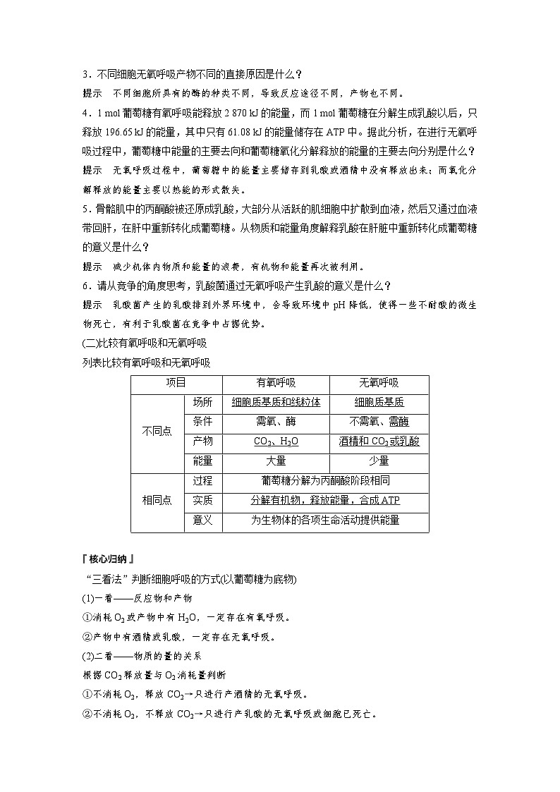 2024年高中生物新教材同步学案 必修第一册 第5章 第3节　第2课时　无氧呼吸和细胞呼吸原理的应用（含解析）03