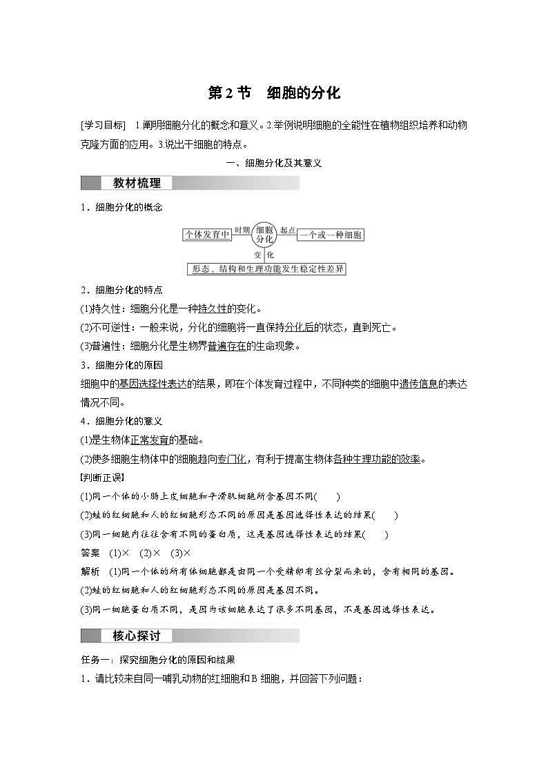 2024年高中生物新教材同步学案 必修第一册 第6章 第2节　细胞的分化（含解析）01