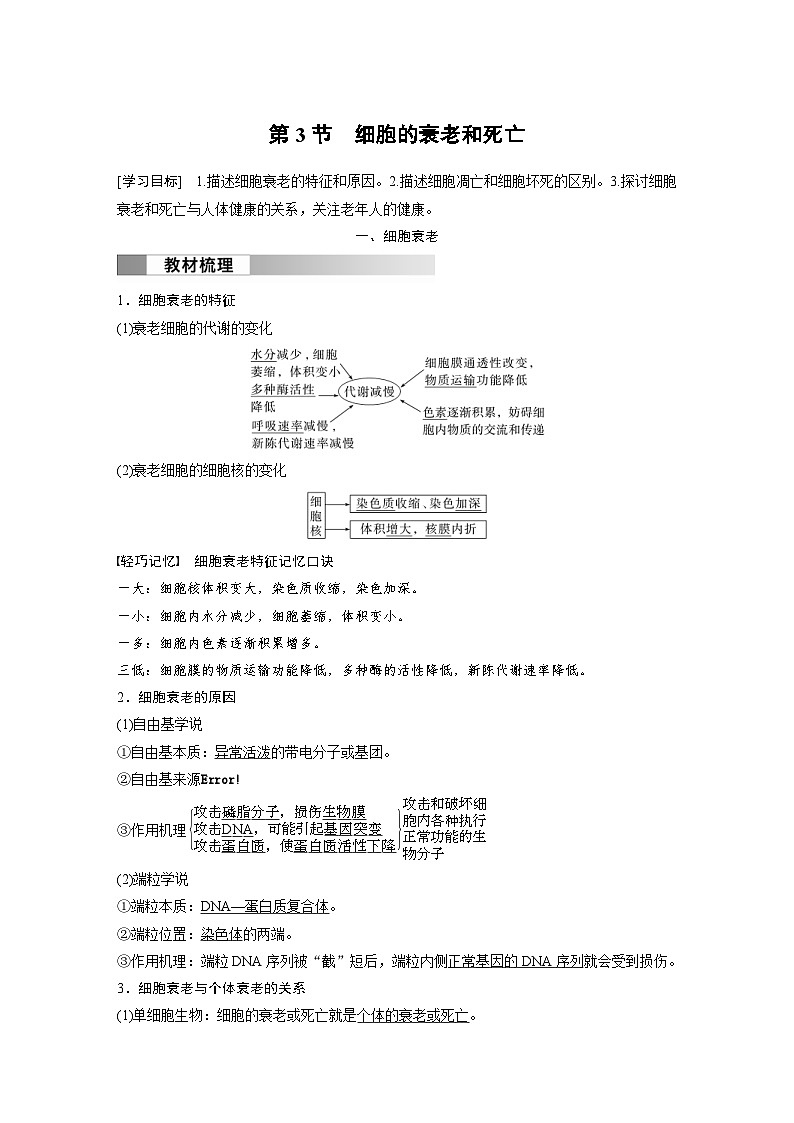 2024年高中生物新教材同步学案 必修第一册 第6章 第3节　细胞的衰老和死亡（含解析）01
