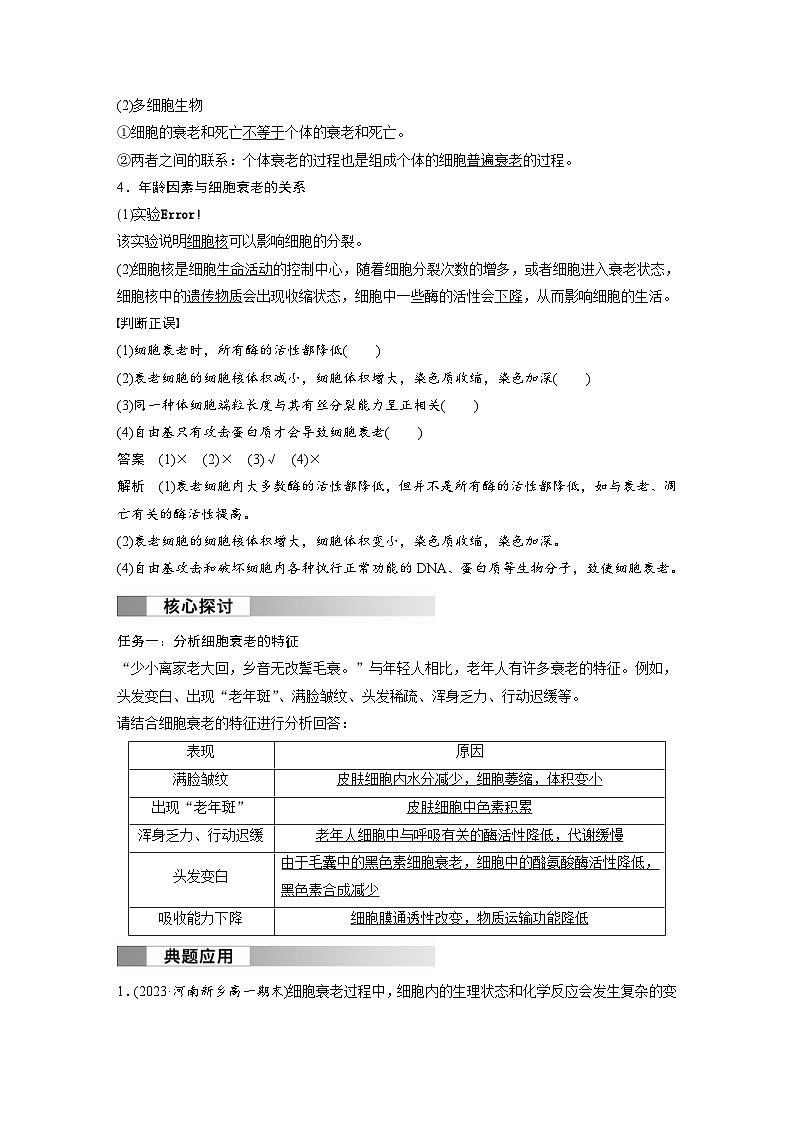 2024年高中生物新教材同步学案 必修第一册 第6章 第3节　细胞的衰老和死亡（含解析）02
