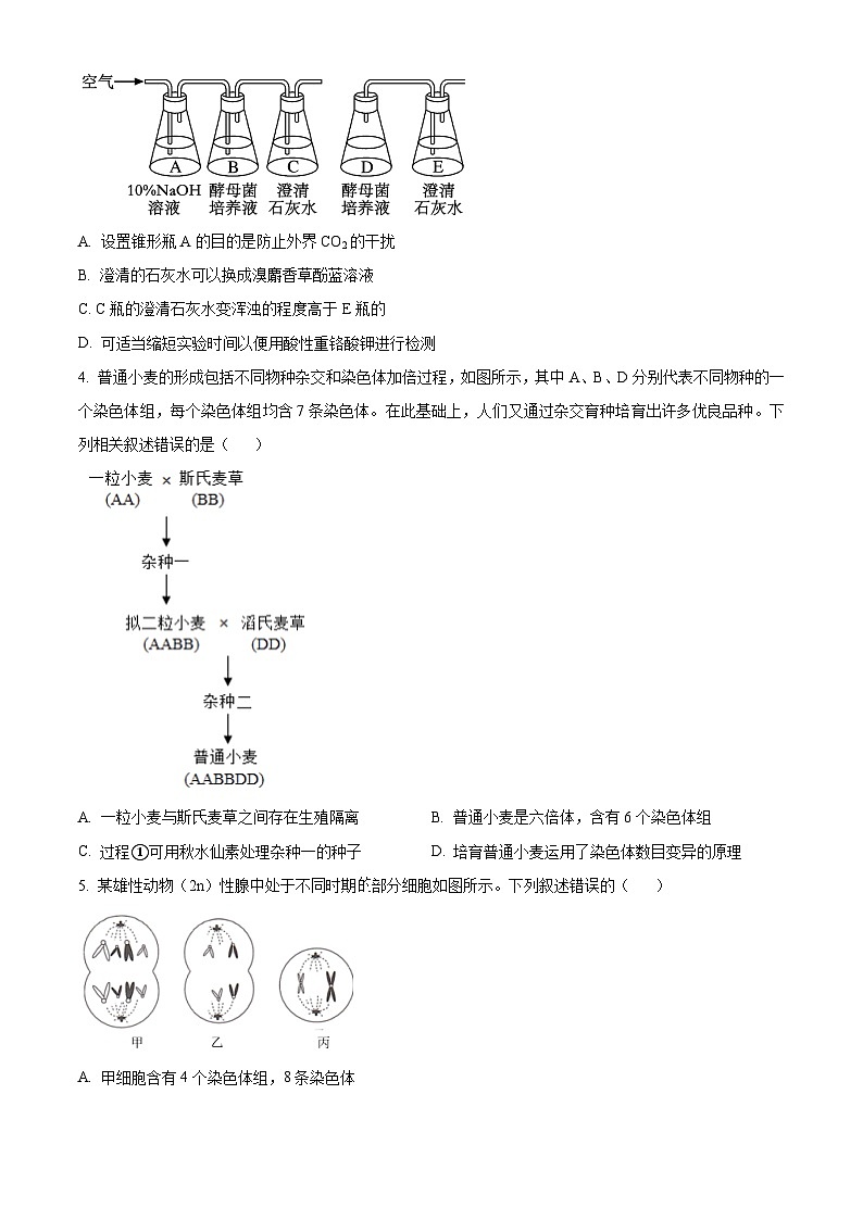 2024衡阳县三校联考高二下学期4月月考试题生物含解析第2页