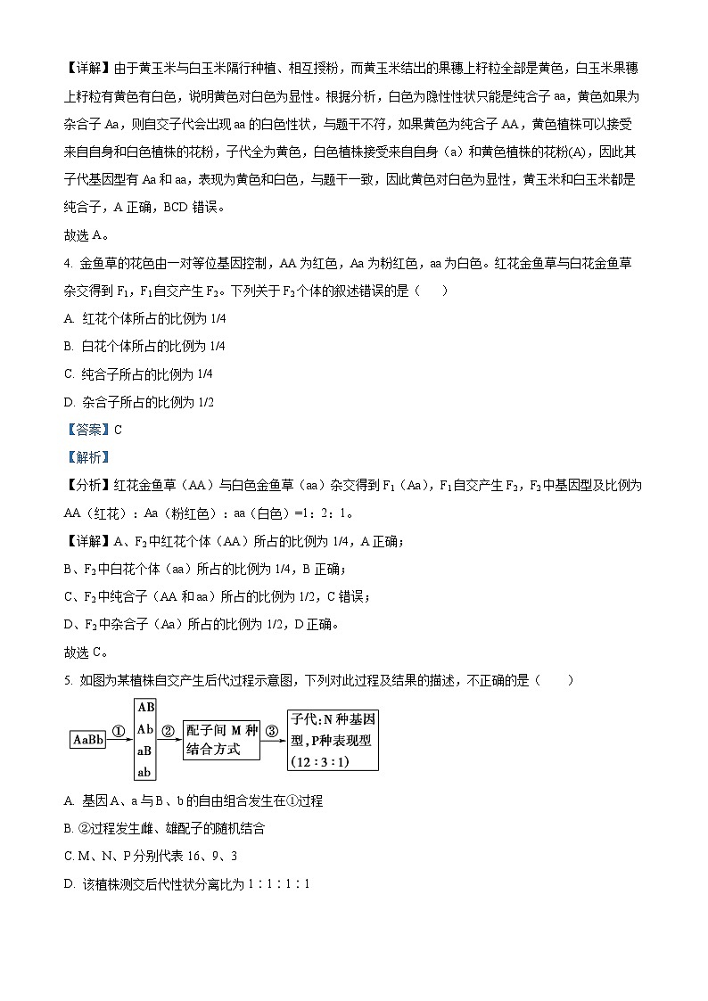2024广东省四会中学、广信中学高一下学期第一次月考试题生物含解析03