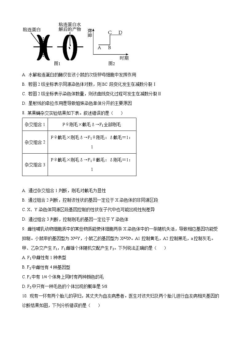2024烟台莱阳一中高一下学期3月月考试题生物含解析第3页