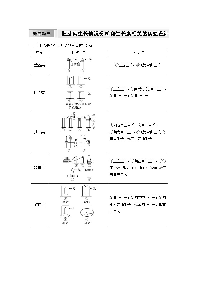 2024年高中生物新教材同步学案 选择性必修第一册 第五章 微专题三　胚芽鞘生长情况分析和生长素相关的实验设计（含解析）01