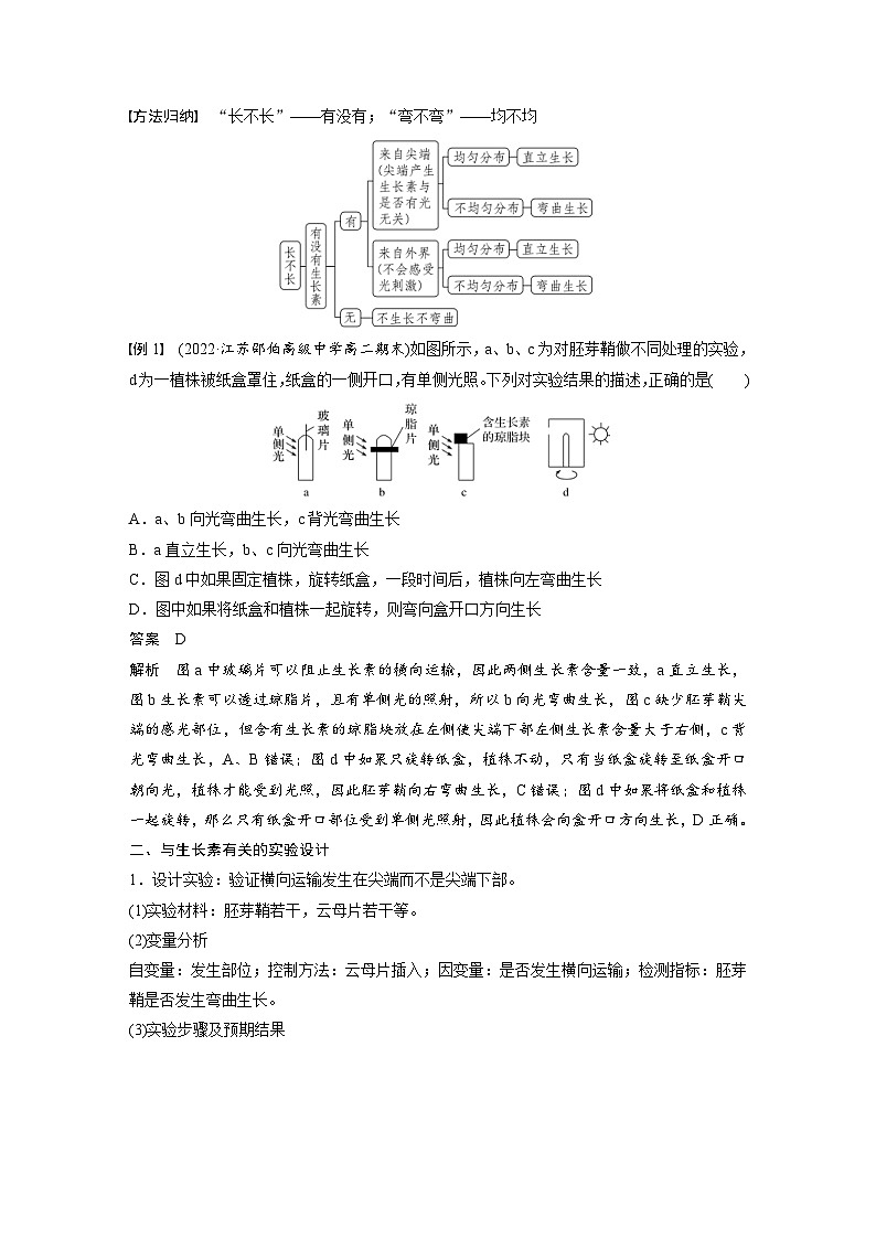 2024年高中生物新教材同步学案 选择性必修第一册 第五章 微专题三　胚芽鞘生长情况分析和生长素相关的实验设计（含解析）02