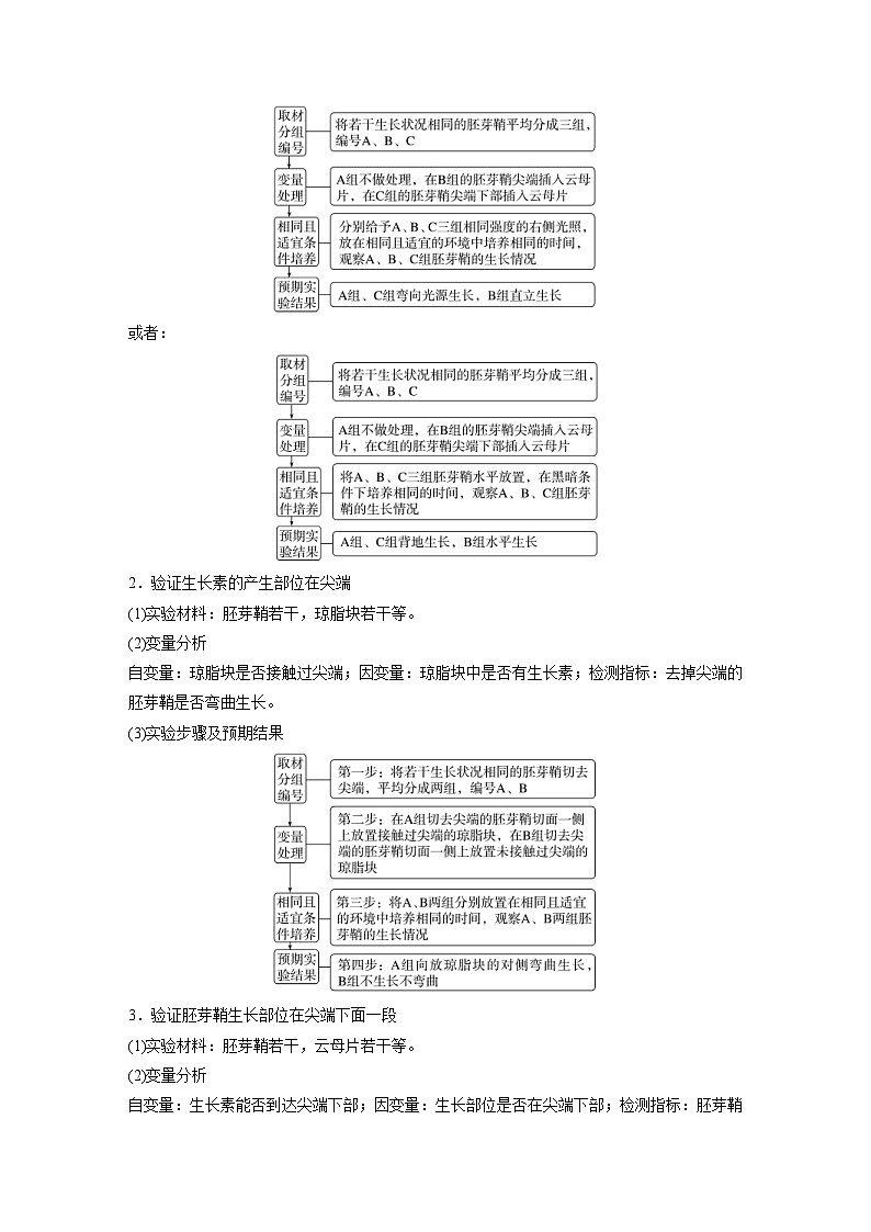 2024年高中生物新教材同步学案 选择性必修第一册 第五章 微专题三　胚芽鞘生长情况分析和生长素相关的实验设计（含解析）03