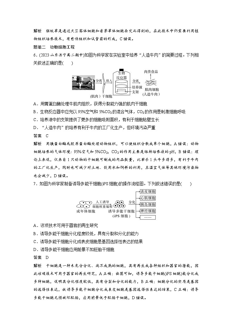 2024年高中生物新教材同步学案 选择性必修第三册 第2章 重点突破练(二)（含解析）03