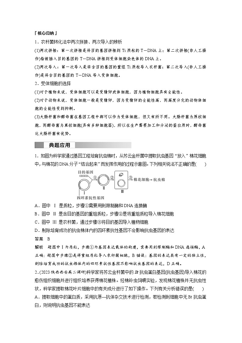 2024年高中生物新教材同步学案 选择性必修第三册 第3章 第2节 第2课时 将目的基因导入受体细胞、目的基因的检测与鉴定（含解析）03