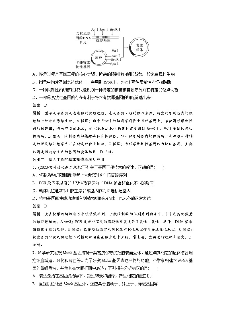 2024年高中生物新教材同步学案 选择性必修第三册 第3章 重点突破练(三)（含解析）03
