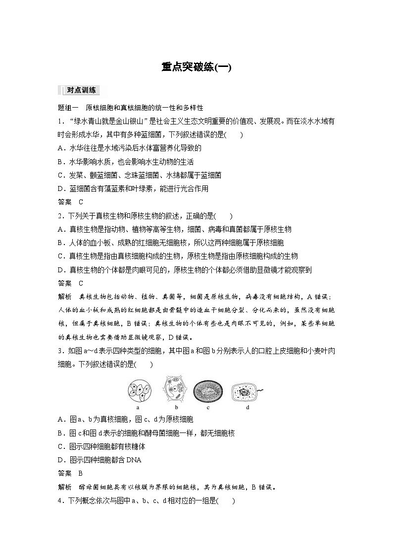 2024年高中生物新教材同步学案 必修第一册 第2章 重点突破练(一)（含解析）01
