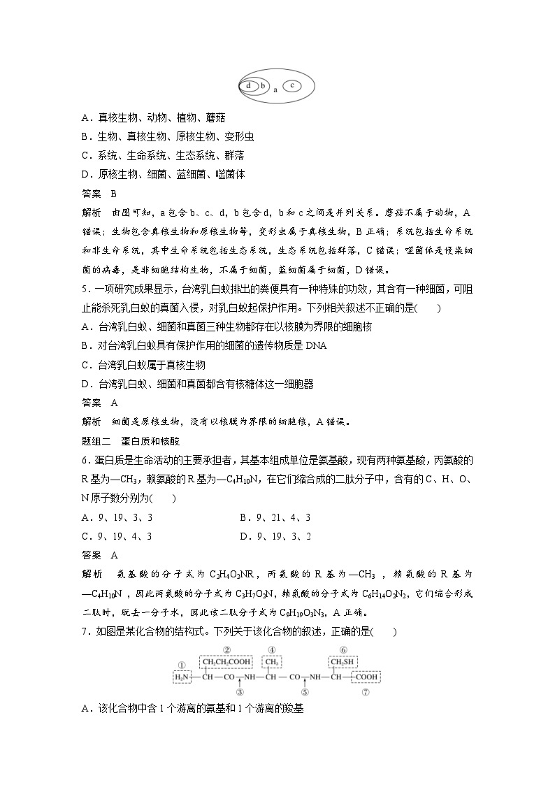 2024年高中生物新教材同步学案 必修第一册 第2章 重点突破练(一)（含解析）02