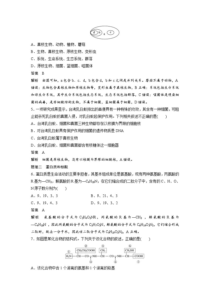 2024年高中生物新教材同步学案 必修第一册 第2章 重点突破练(一)（含解析）02