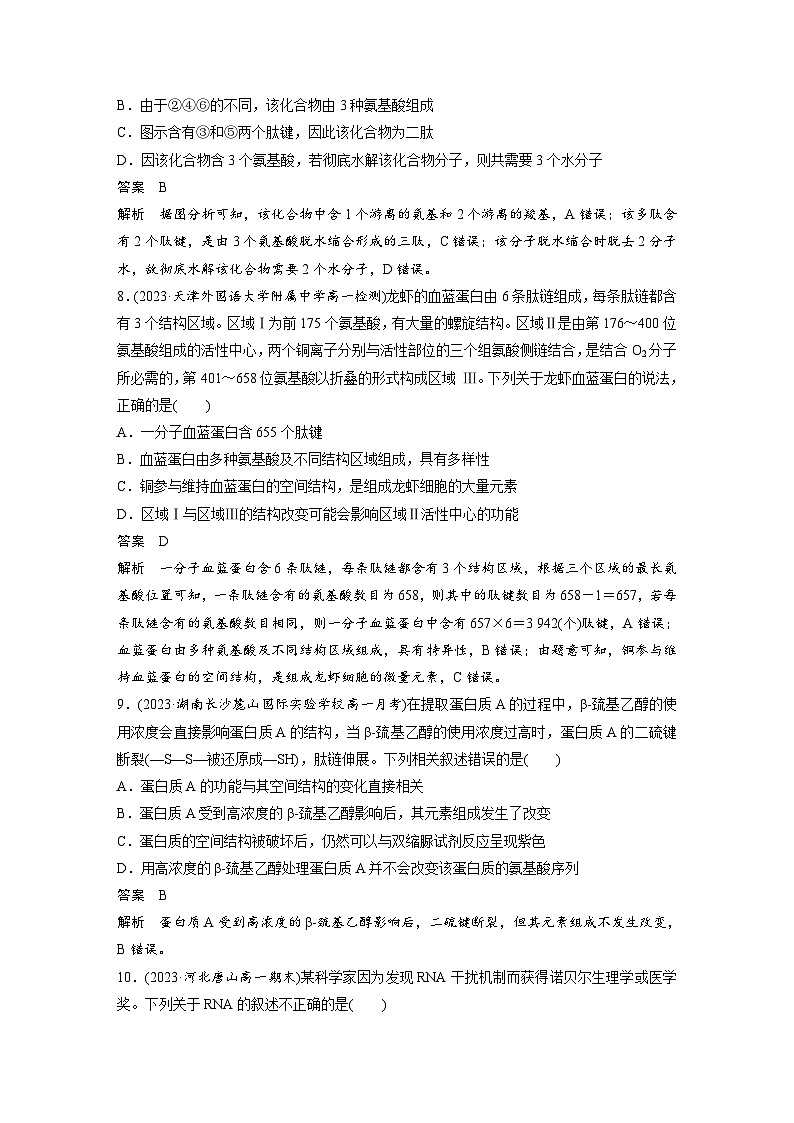 2024年高中生物新教材同步学案 必修第一册 第2章 重点突破练(一)（含解析）03