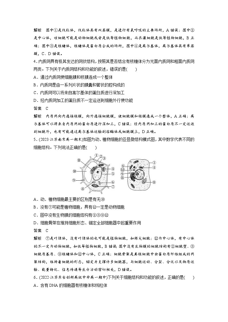 2024年高中生物新教材同步学案 必修第一册 第3章 重点突破练(二)（含解析）02