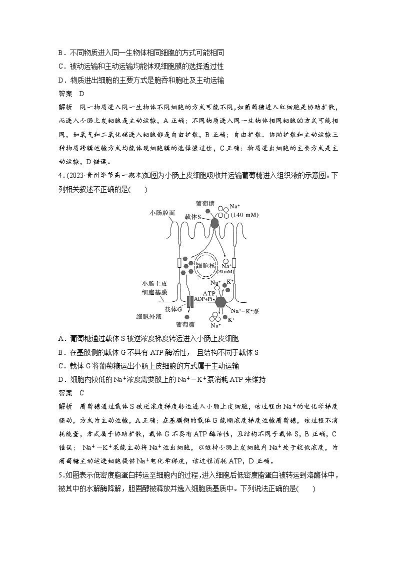 2024年高中生物新教材同步学案 必修第一册 第4章 重点突破练(三)（含解析）02