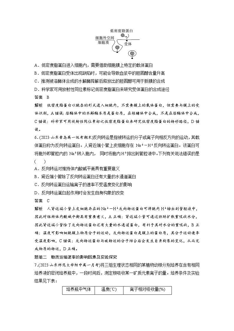 2024年高中生物新教材同步学案 必修第一册 第4章 重点突破练(三)（含解析）03