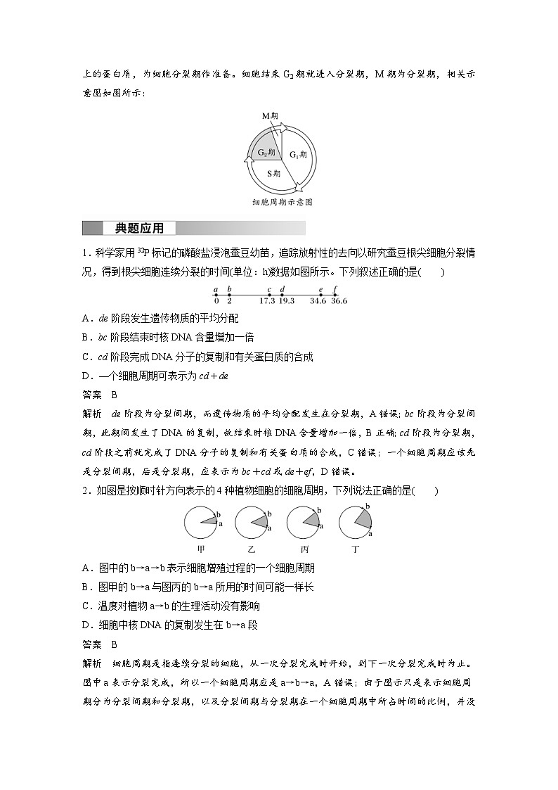 2024年高中生物新教材同步学案 必修第一册 第6章 第1节　第1课时　细胞增殖、有丝分裂（含解析）03