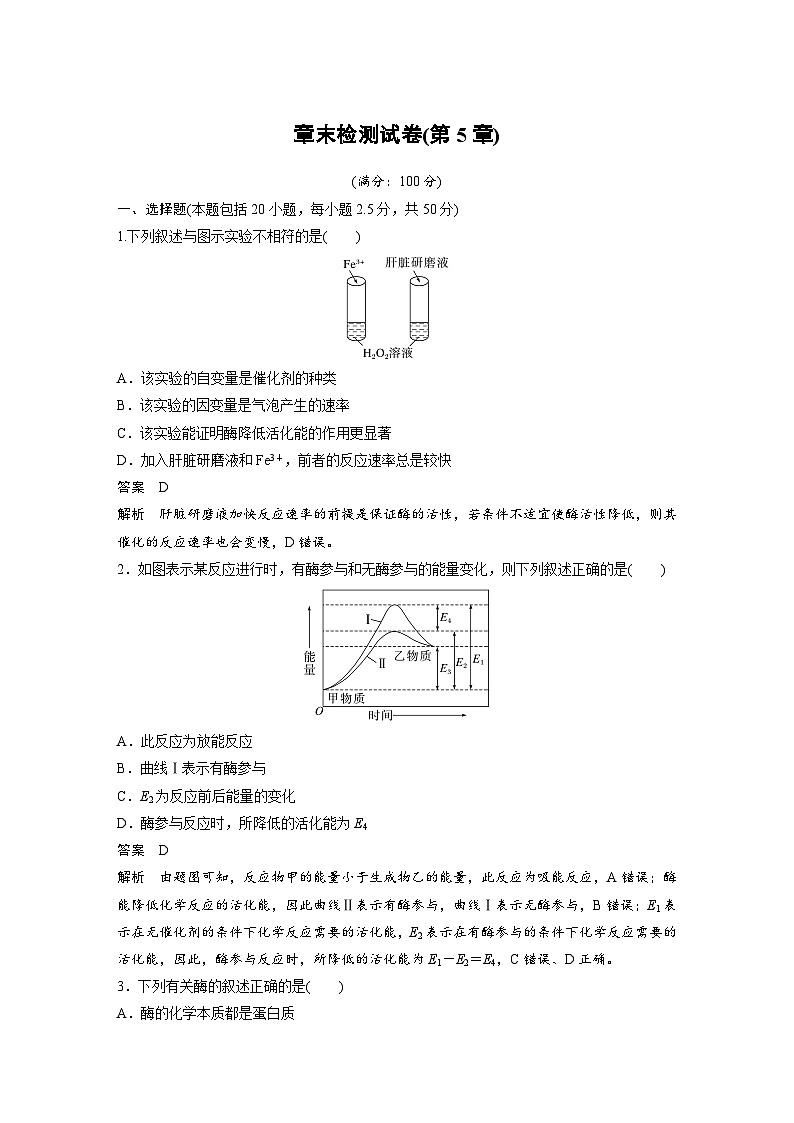 2024年高中生物新教材同步学案 必修第一册 章末检测试卷(第5章)01