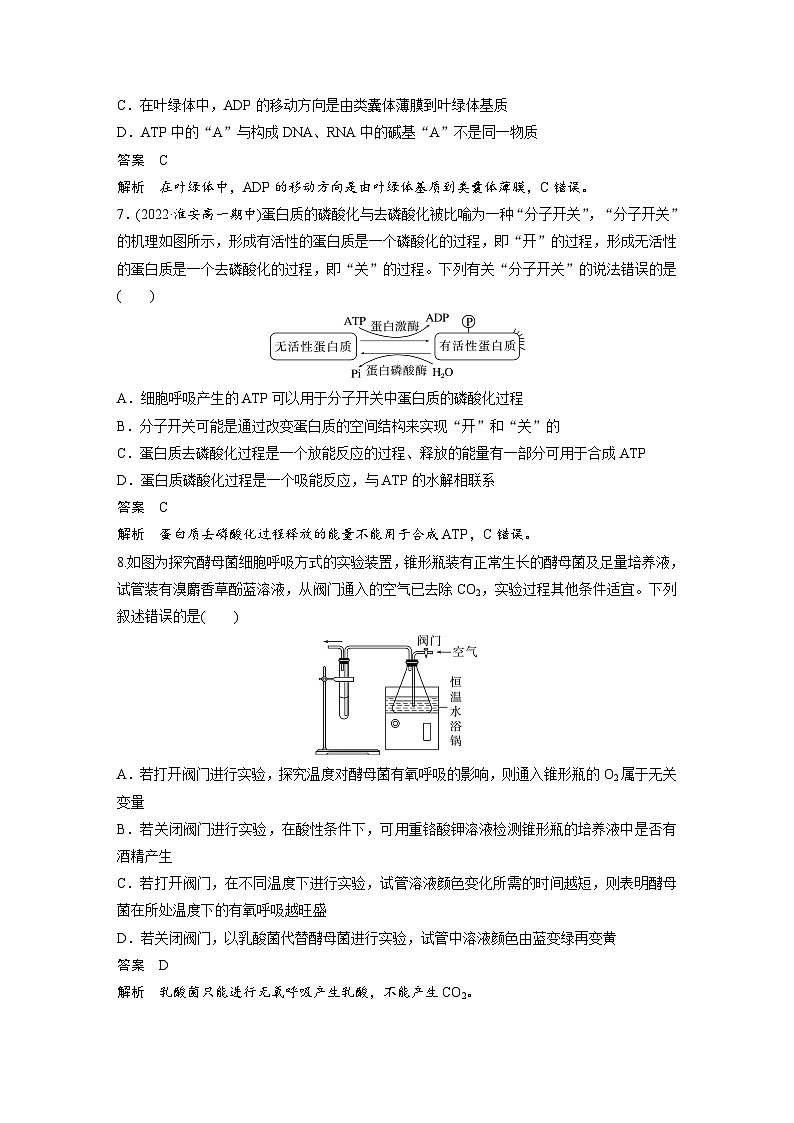 2024年高中生物新教材同步学案 必修第一册 章末检测试卷(第5章)03